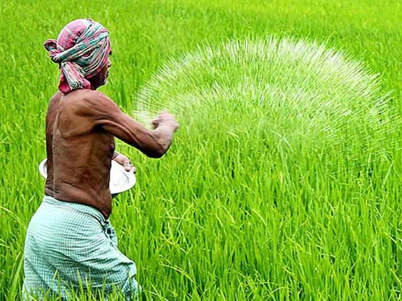 দেশে ৫৪ বছরে রাসায়নিক সারের ব্যবহার বেড়েছে ৫৪ গুণ 