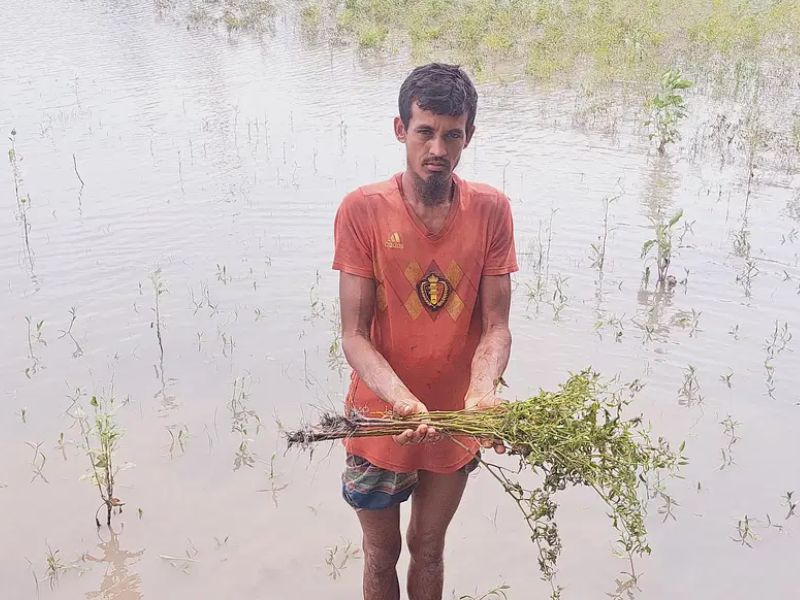 কৃষিতে দুর্যোগের আঘাত, খাদ্যে মূল্যবৃদ্ধির বছর