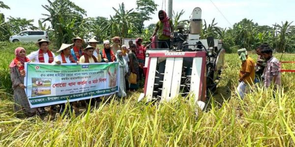 শরীয়তপুরে সমলয় কৃষি প্রদশনীর বোরো ধান কর্তন