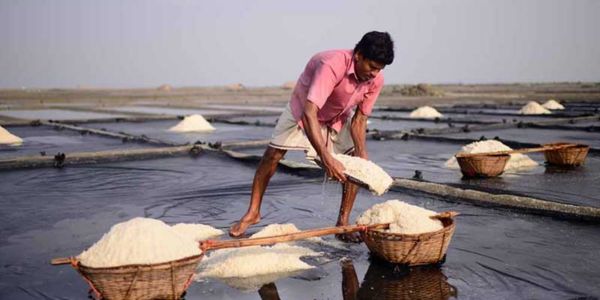 তীব্র গরমে লবণ উৎপাদন বেড়েছে