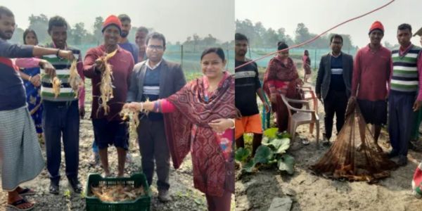 আশাশুনিতে গলদা ক্লাস্টারের ২৫ চাষীর অভাবনীয় সাফল্য  