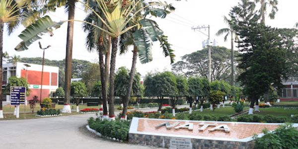জাতীয় কৃষি প্রশিক্ষণ একাডেমিতে ৪ পদে চাকরি