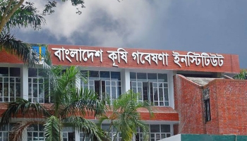 কৃষি গবেষণা ইনস্টিটিউটে নবমসহ বিভিন্ন গ্রেডে নিয়োগ, পদ ৯৭