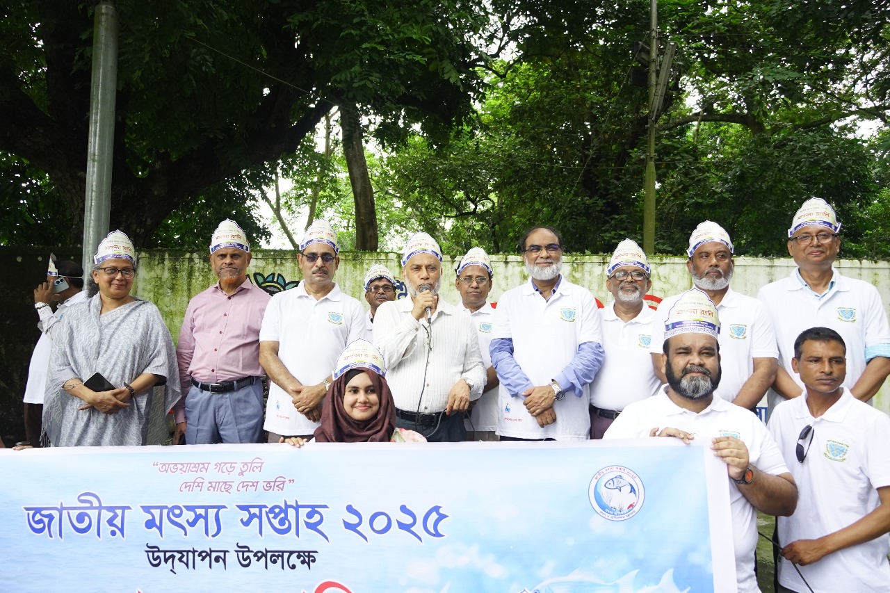 ইলিশের মতো দামি মাছও এখন পুকুরে চাষ করা সম্ভব