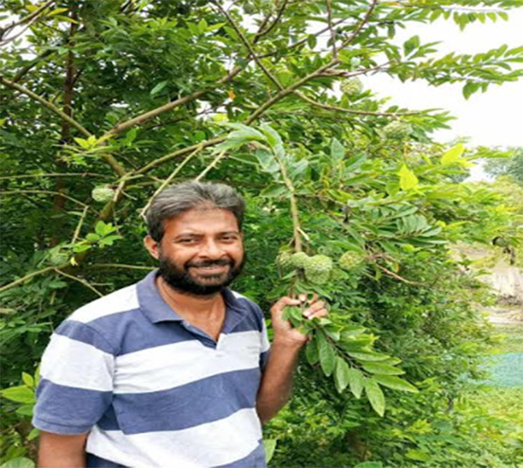 মেওয়া ফলে  স্বপ্ন বুনছেন বাহাউদ্দীন