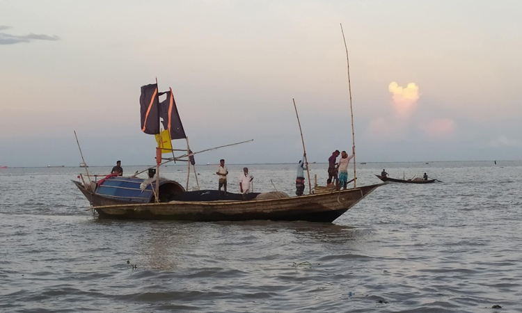ভোলার নদী গুলোর  মৎস্য অভয়ারণ্যে ইলিশ ধরায় নিষেধাজ্ঞা