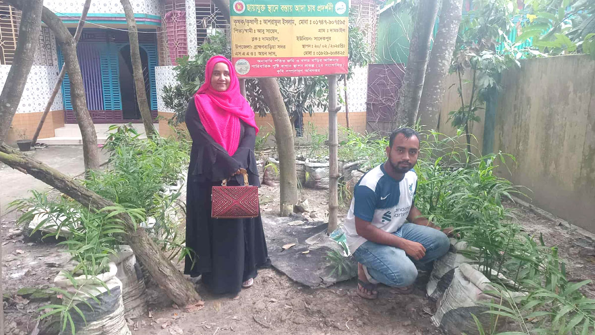 ইউটিউব দেখে আশরাফুলের বস্তায় আদা চাষ