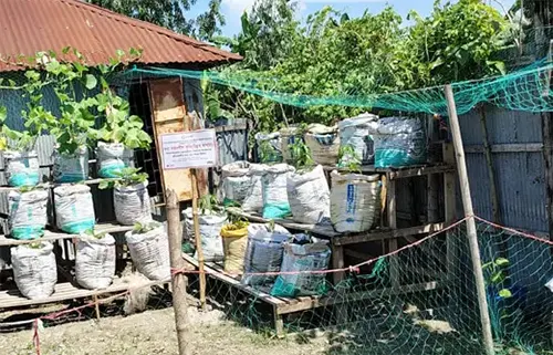 বন্যা থেকে বাঁচিয়ে চরাঞ্চলের কৃষকদের অভিনব সবজি চাষ
