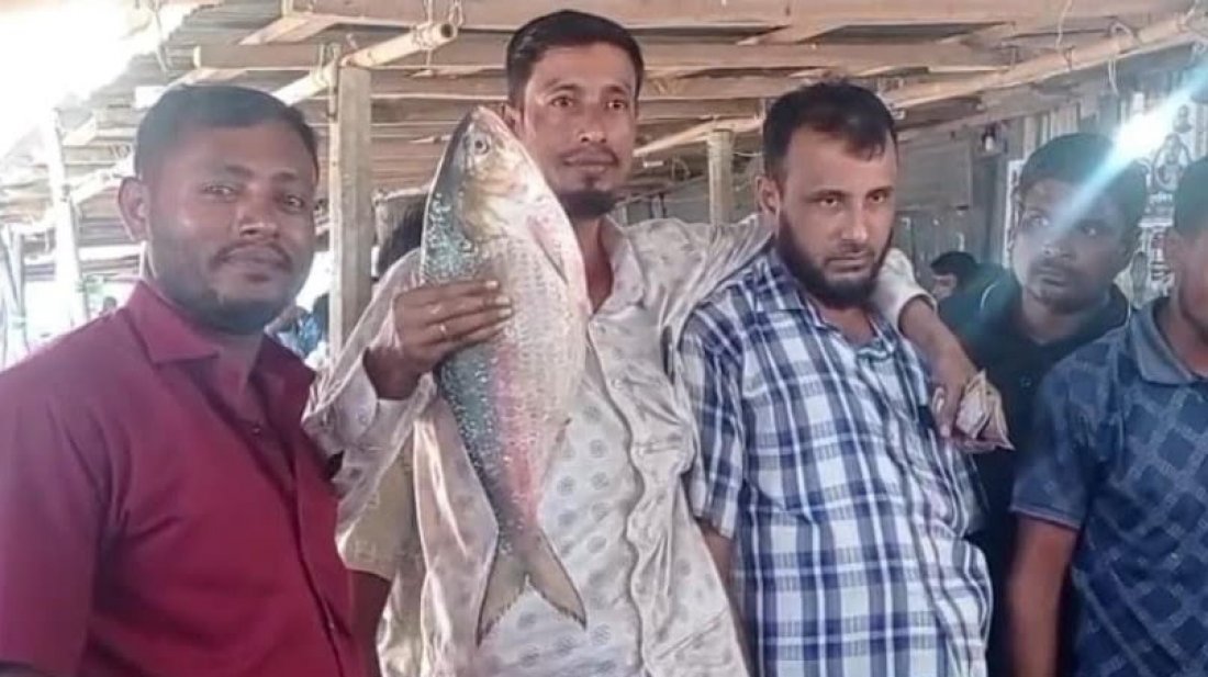 এক ইলিশ বিক্রি হলো ৯২০০ টাকায়