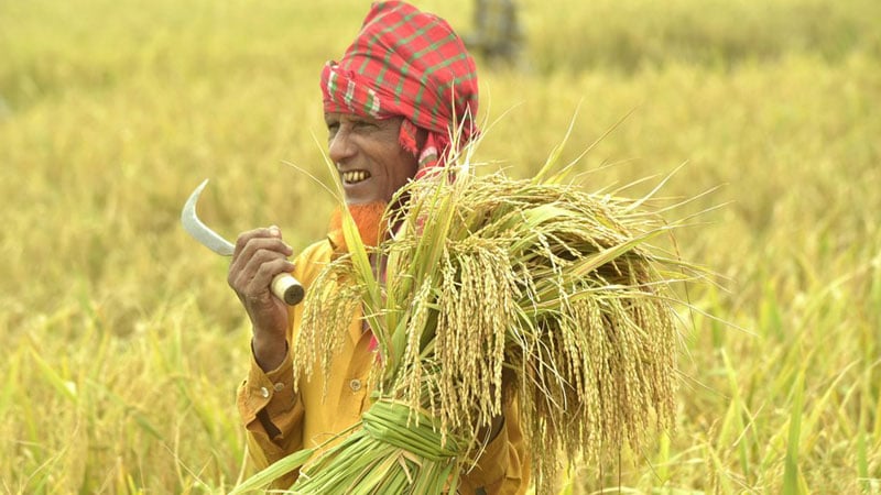 টেকসই কৃষির জন্য গবেষণায় গুরুত্ব দিতে হবে
