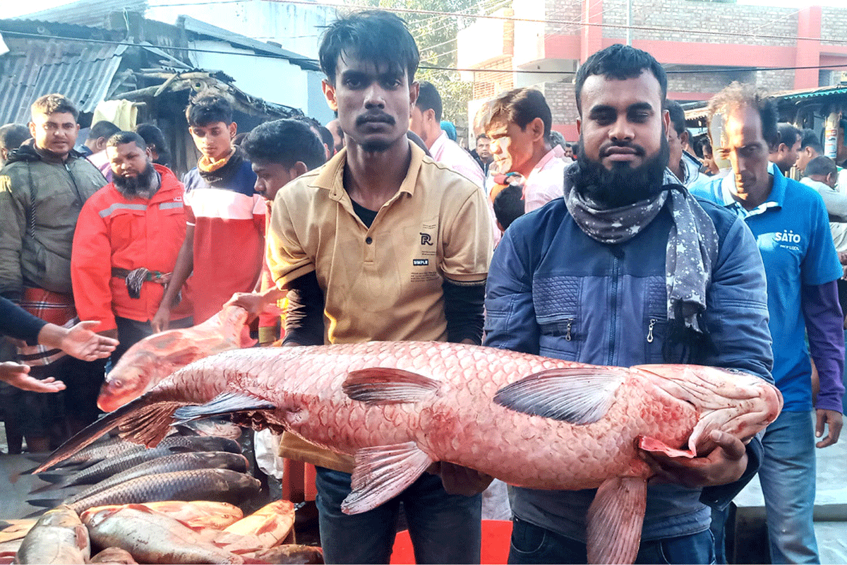 বগুড়ায় ঐতিহ্যবাহী মাছের মেলা