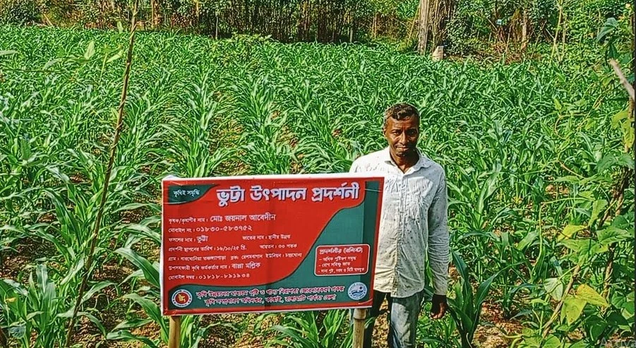 ভুট্টা চাষে সফল কাপ্তাইয়ের জয়নাল আবেদীন