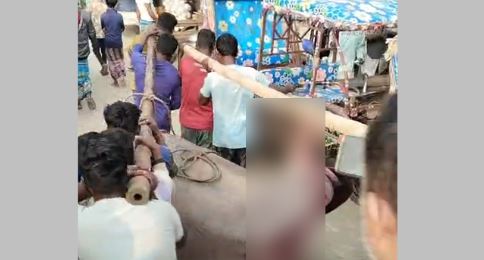 ৬ মণের শাপলা পাতা মাছ, কততে বিক্রি হলো ? 