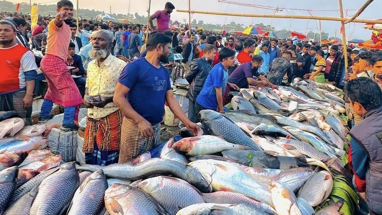 জামাই মেলায় মাছ কেনা নিয়ে জামাই-শ্বশুরের প্রতিযোগিতা