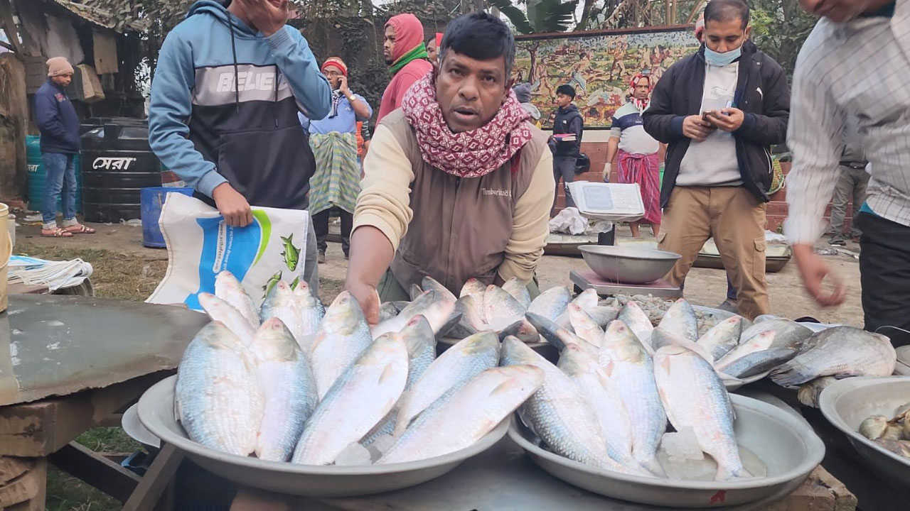 ঐতিহ্যবাহী জোড় মাছের মেলা