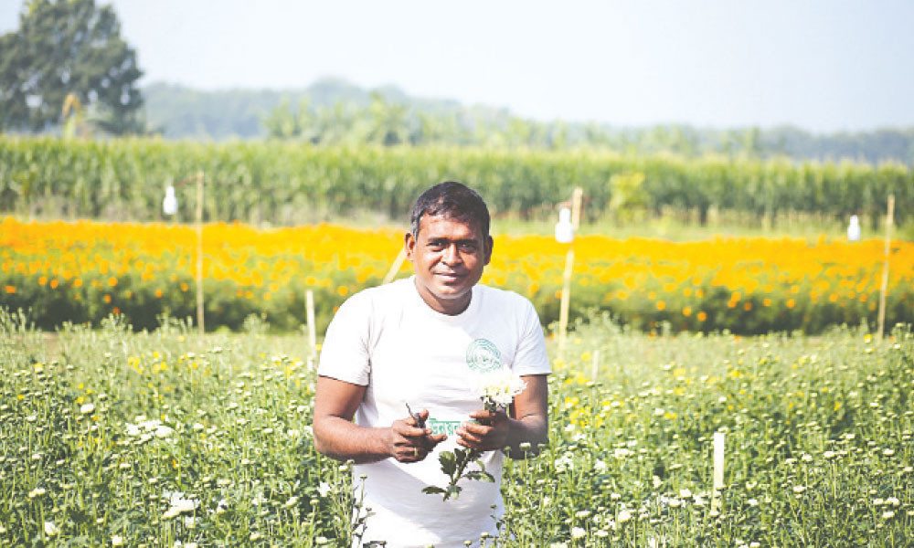 নীরব কিন্তু দৃঢ় কৃষি বিপ্লব