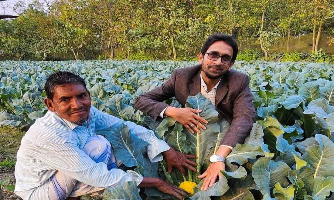 দশমিনায় রঙিন ফুলকপি চাষে সুলতানের বাজিমাত