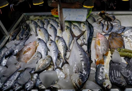 যেসব দেশি মাছে মিলবে বিদেশি মাছের মতো পুষ্টি