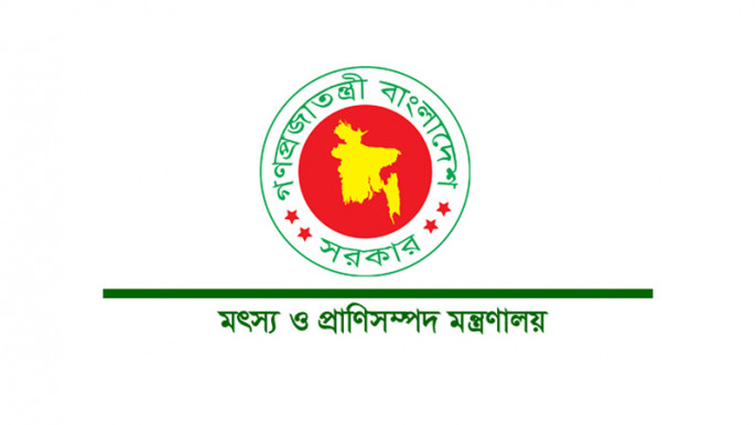 ইনডোর ইলিশ চাষে সরকারের অনুমোদন নেই: মৎস্য ও প্রাণিসম্পদ মন্ত্রণালয়