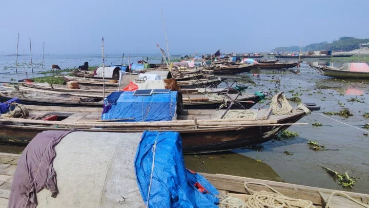 শনিবার থেকে দুই মাস পদ্মা-মেঘনায় ইলিশ ধরা বন্ধ
