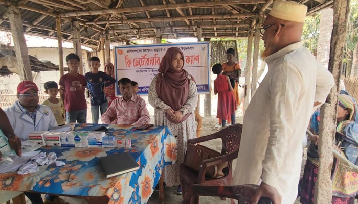 ঈশ্বরদীতে বিশ দিনে ৫৫ ছাগলের মৃত্যু