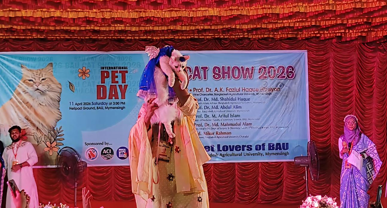 বিড়ালপ্রেমীদের জন্য বাকৃবিতে প্রথম বারের মতো ‘ক্যাট শো’ অনুষ্ঠিত 