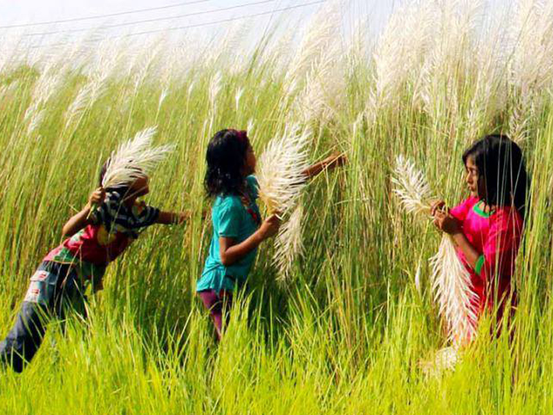 এসেছে ঋতুর রানি শরৎকাল