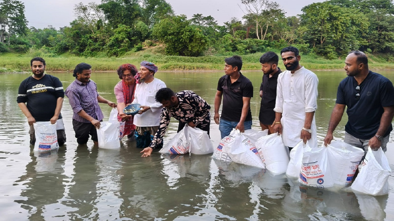 কুমিল্লা গোমতী নদীতে ২০ হাজার মাছের পোনা অবমুক্ত