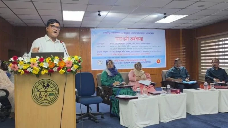 দেশে পোল্ট্রির নতুন দুটি জাত উদ্ভাবন, কমবে খাদ্য খরচ