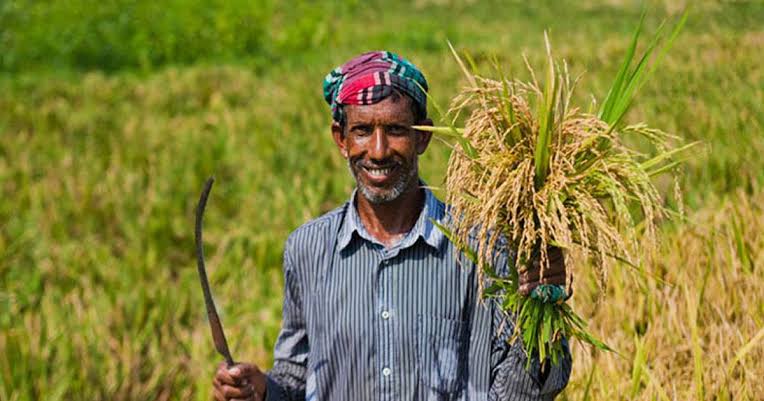 ৭ লাখ ১০ হাজার কৃষকের ঋণ মওকুফ করল কৃষি ব্যাংক