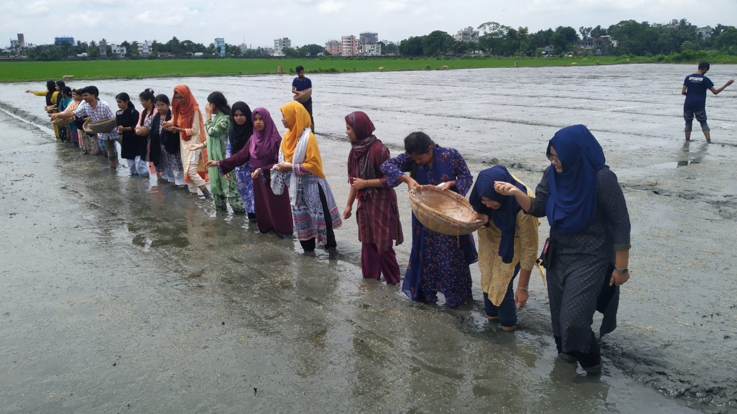 বাকৃবিতে দুই দফায় ৮০০ কেজি বিনা ধান-১৭ বীজ বপন সম্পন্ন