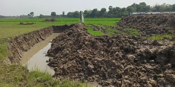 পুঠিয়ায় পুকুর সিন্ডিকেটের কাছে জিম্মি কৃষক, হারাচ্ছে জমি