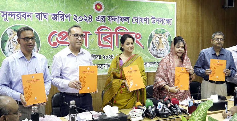 সুন্দরবনে বাঘের সংখ্যা ১২৫, বেড়েছে ৯.৬৫%