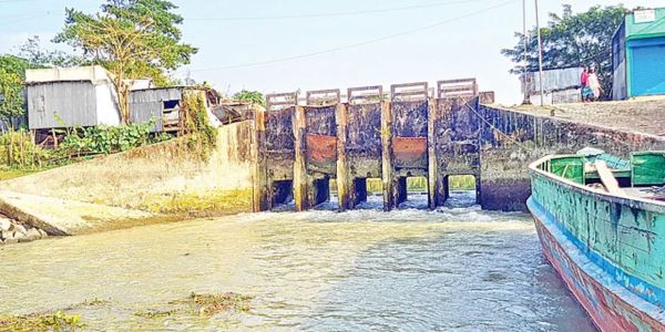 বরগুনায় ভরাট হচ্ছে খাল, কৃষিকাজ ব্যাহত 