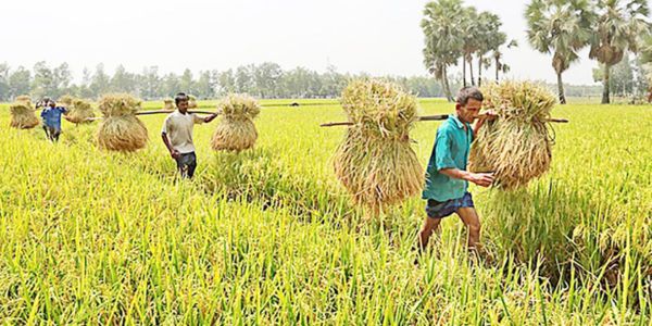  সময় এখন কৃষিতে বিনিয়োগের