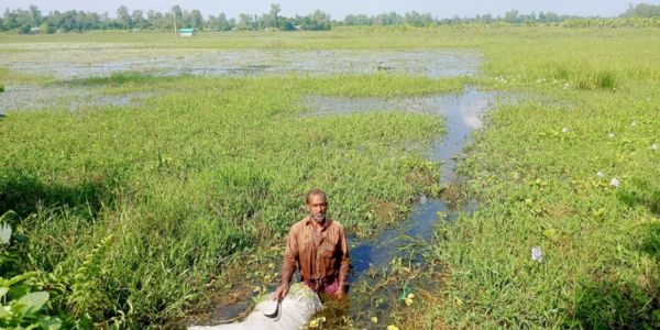 তাড়াশে অবৈধ পুকুর খনন চার হাজার, কৃষি জমি কমেছে ১৫ হাজার বিঘা