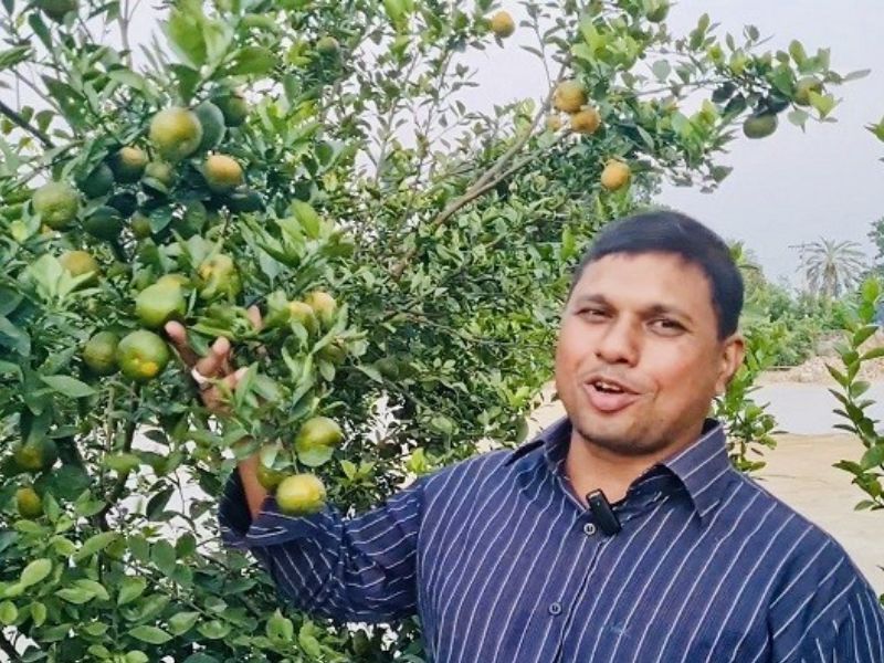 কমলা চাষে সফল সিংড়ার মিঠু