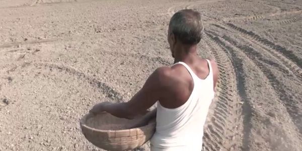 সারের দাম বৃদ্ধিতে কৃষকদের দুর্ভোগ বেড়েছে