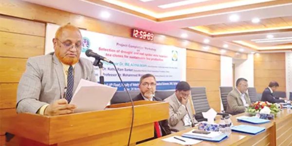চা রপ্তানি বাড়িয়ে বৈদেশিক মুদ্রা অর্জনের সুযোগ