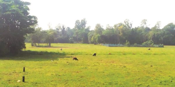 মীরসরাইয়ে ১০০ একর জমি পরিত্যক্ত হয়েছে