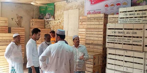 প্রতি বাক্সে আমদানি ব্যয় ১৩ হাজার কৃষক কিনছেন ২৬ হাজার টাকায়