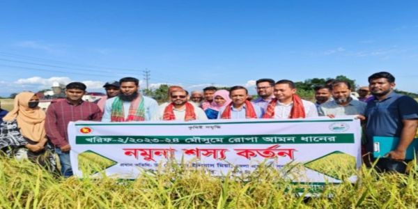 আমন ধানের জাত সম্প্রসারণ নিয়ে কৃষক মাঠ দিবস