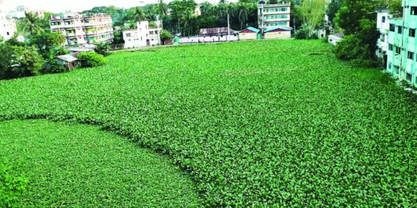 পটিয়ায় একশ জলাশয়ে হচ্ছে না মাছ চাষ