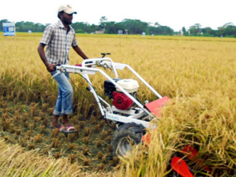 মাটির উর্বরতা হ্রাস ও উৎপাদনশীলতা কমে বাড়ছে কৃষি খরচ