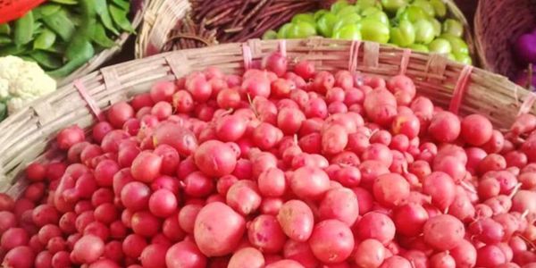 ৪০০ টাকার আলু এখন মাত্র ৬০ টাকায়