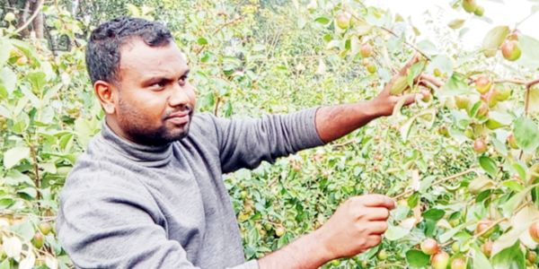 সফল তরুণ কৃষি উদ্যোক্তা নাটোরের রাকিবুল ইসলাম