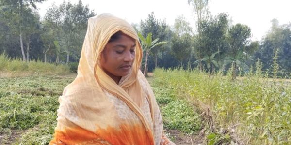 লালমনিরহাটে বাদাম চাষ করে স্বাবলম্বী জেসমিন আক্তার