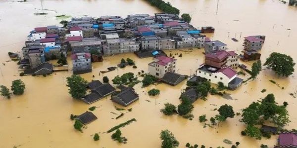 বন্যা পরবর্তী সোনাগাজীর কৃষিতে নববিপ্লব, বাড়ছে নতুন উদ্যোক্তা