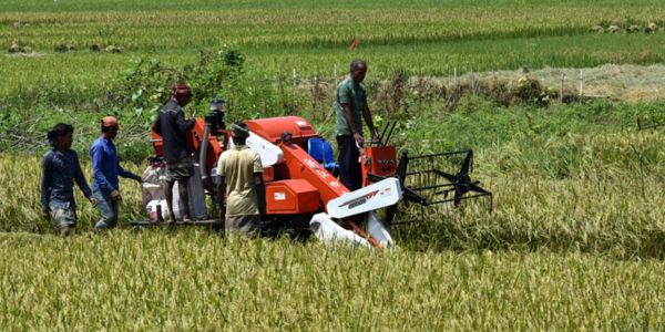 কৃষি যান্ত্রিকীকরণ প্রকল্প: বিক্রয় পরবর্তী সেবা না পেয়ে বিড়ম্বনায় কৃষক