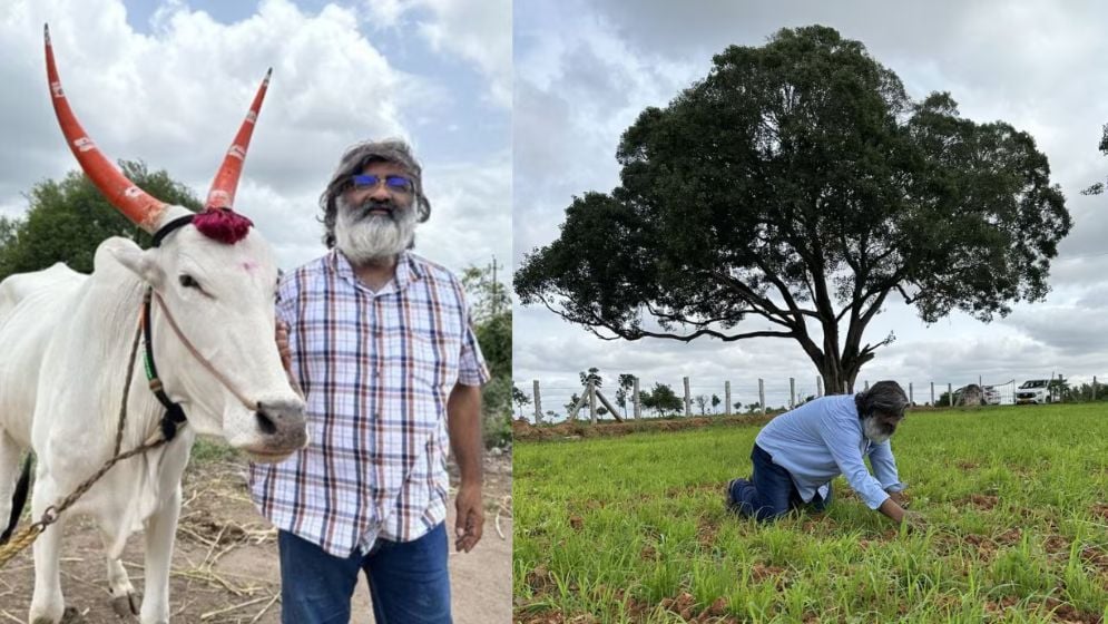 যুক্তরাষ্ট্রের চাকরি ছেড়ে কৃষিতে, এখন বছরে আয়  কত জানেন?